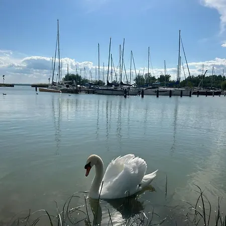 Helikon Apartman شقة *