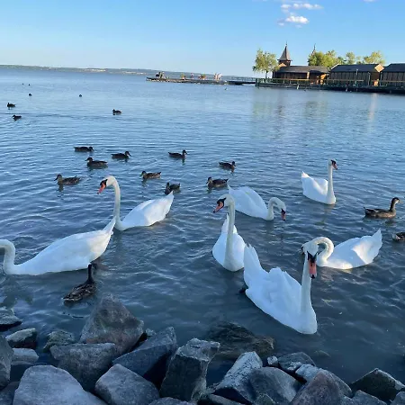 Helikon Apartman شقة كيستاي